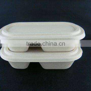 a Biodegradable Eco-friendly Food Packing Container