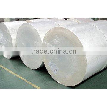 PE Paper in Roll