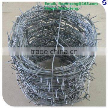 Hot Dip Galvanized or PVC coated Razor Barbed Wire Factory in Guangzhou