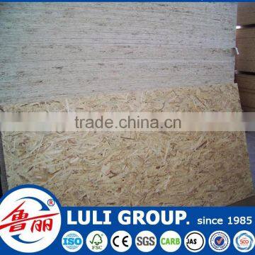 sanding osb for sale