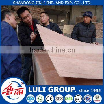 Hot Sale Door Skin Plywood photo-5