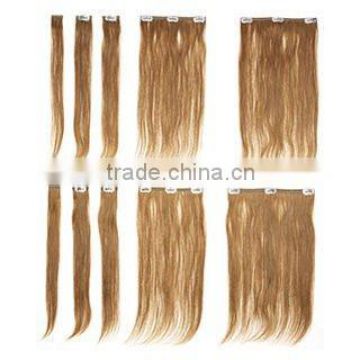 Wholesale prices clip in hair extensions