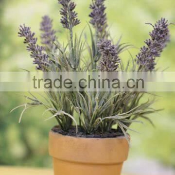 high quality lavender bonsai for hotel decor