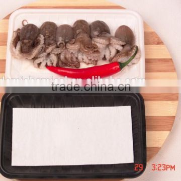 Professional Manufacturer&Exporter Plastic Fish Box with pad