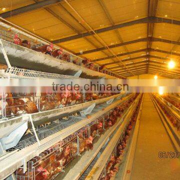 professional high quality battery chicken egg layer cage for sale