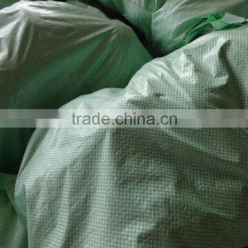 Matured Fresh Cocounts photo-5