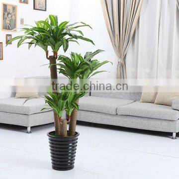 Artificial Dracaena Fragrans