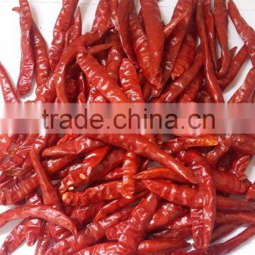 Supply Dry Red Chilli