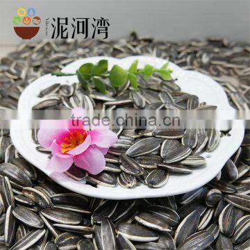 Sunflower Seeds for American Type 5009 With Best Quality photo-4