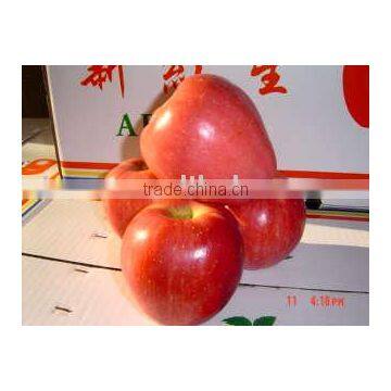 red star apple