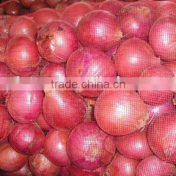 Onion Like Vegetableb 2015 Crop
