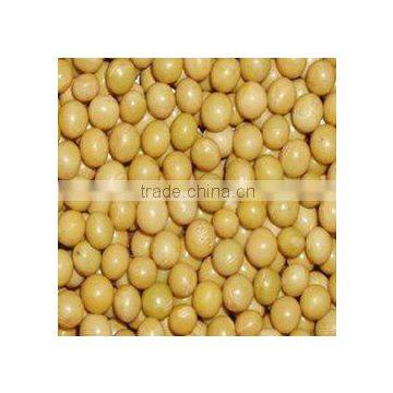 new dried soy bean (yellow colour best price )