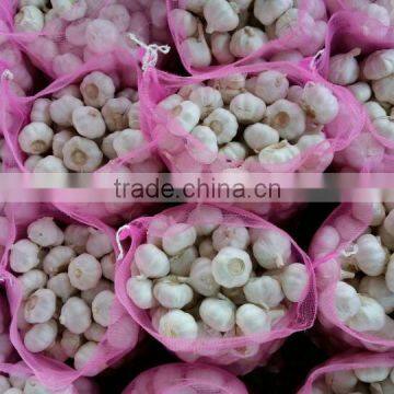 Hot Selling Normal White Fresh Garlic Price photo-5