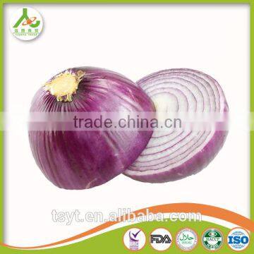 Fresh Red Onion From China photo-5