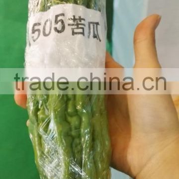 Hybrid bitter gourd seeds-Green 1505 F1