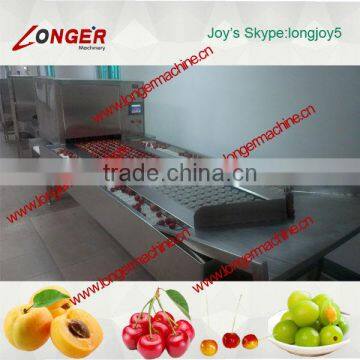 High quality fruit/apricot pit removal machine