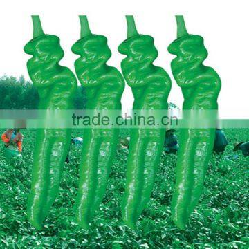 the latest F1 hybrid early maturing long green pepper chill seeds vegetable seeds to plant