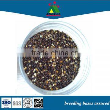 Small China Providers Wholesale Hulled Canary White Millet Seeds