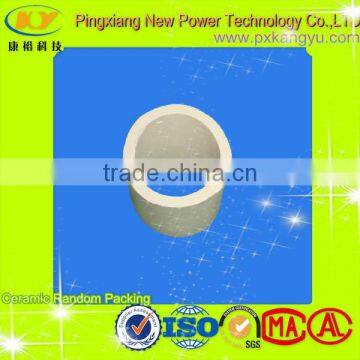 Ceramic Rasching Ring used in Stripping Tower