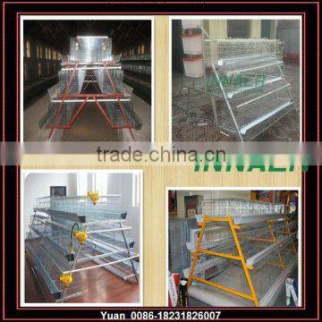 chicken cage equipment &automatic chicken cage for poultry farm