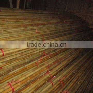 Vietnam Bamboo pole for garden plant