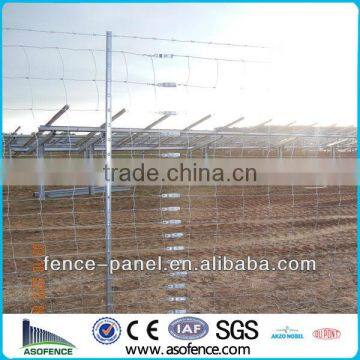 2014 Hot sale Hinged knot Farm Field Fence,galvanized Hot sale Hinged knot Farm Field Fence