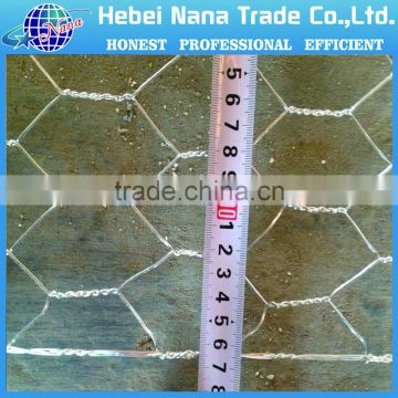 high quality hexagonal iron wire mesh made in China(Hebei ISO CE)