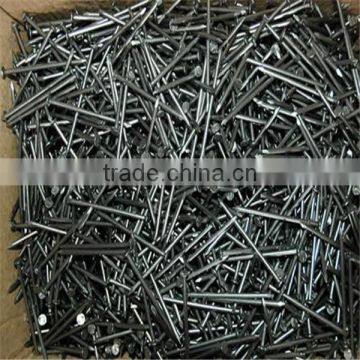 Common Round Iron Wire Nails Factory / Common Nails photo-6