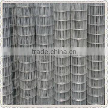 heavy gauge welded wire mesh with beat price