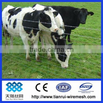 Animal breed grassland fence/ (direct factory)