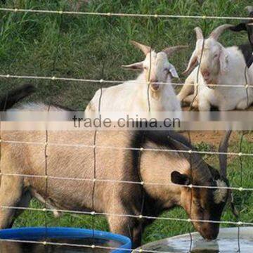 Deer fence,field fence,cheap farm fencing