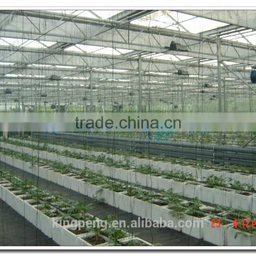 Ultra clear float glass greenhouse (ISO9001:2000)