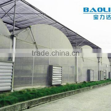 large multi-span PE film green house agriculture & commercial used greenhouse