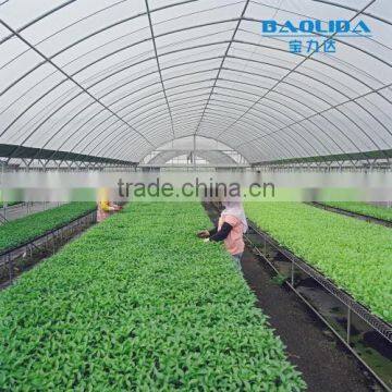 Polytunnel Garden Greenhouse Pollytunnel photo-5