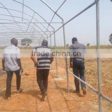 Cheap Invernadero Greenhouse photo-5