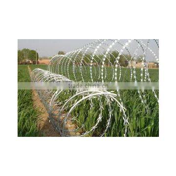 Galvanized Razor Wire from Guangzhou supplier