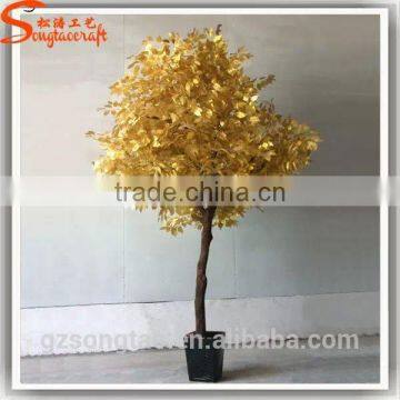 Yellow leaves from different types of plants and trees for sale