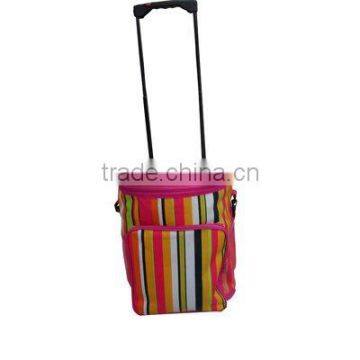 Hot Selling Cooler bag