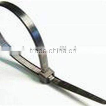 Booster Colored New Designed Cable Tie for Fixing, Made in China photo-3