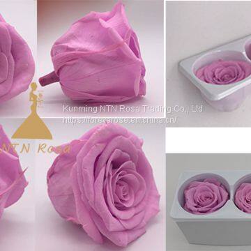 Preserved Rose Heads Look Like Artificial Flowers? It′s 100% Real! photo-2