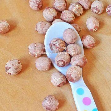 Lotus Seed Lotus Nut Lotus Kernel Dried Red Lotus Seed Brown Lotus Seed With Core Plumule photo-4
