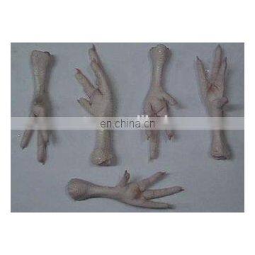 High Quality Chicken Feet Peeling Equipment,chicken Feet Peeling Machine,chicken Feet Peeler photo-6