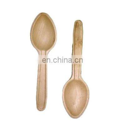 100% Natural Eco Friendly Areca Palm Leaf Spoon From Vietnam/ Disposable Areca Palm Leaf Spoon Dinnerware photo-3