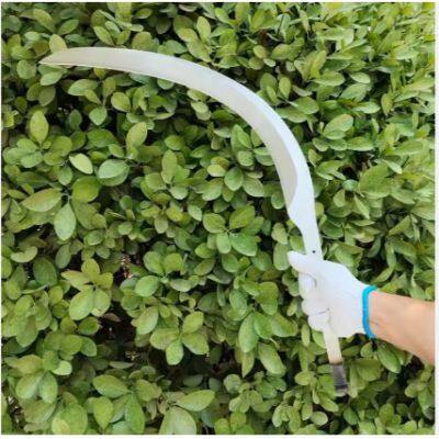 Herramienta agrícola de alta calidad. Falce de acero al carbono para la cosecha de frutos de palma y betel. Guada?a, cuchillo para cortar cocos y palmas