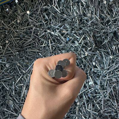Galvanized Clout Head Nails for Outdoor Applications 1kg/bag OEM Available