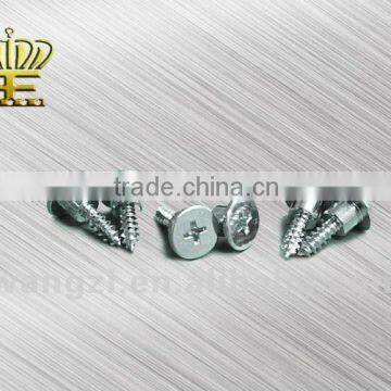 Stepped Screw