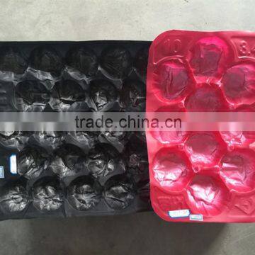 Plastic PP Fruit Tray/liner