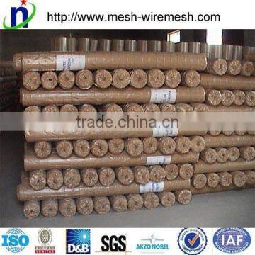 Anping Factroy Supple Hot-dipped Galvanized Welded Wire Mesh photo-6