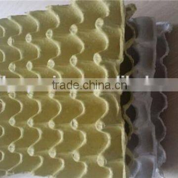 Factory Price Hot Selling Cheap Price Paper Pulp Egg Tray photo-4