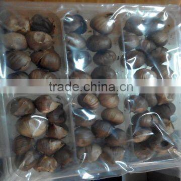 China Black Single Clove Garlic photo-4
